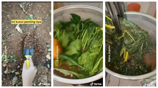 Wanita Ini Menggunakan Tanah untuk Menghilangkan Rasa Pahit Daun Pepaya (567273)