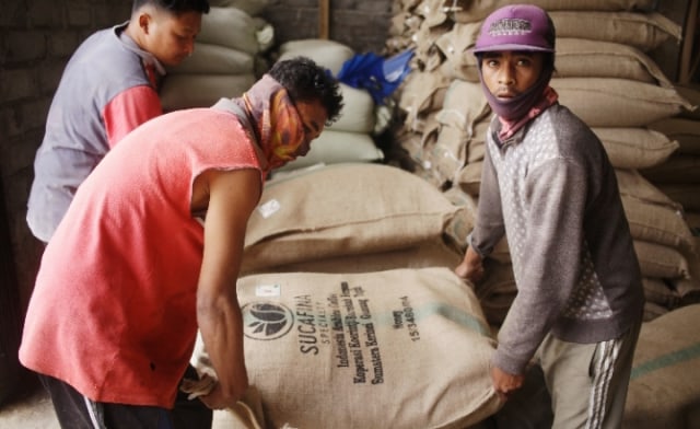 Jambi Ekspor 15,9 Ton Kopi Arabika Spesialti ke Negara Belgia (3312)
