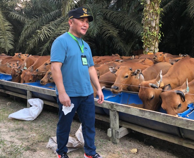Pemprov Kalteng Siapkan Sapi Kurban 300 Ekor (216502)