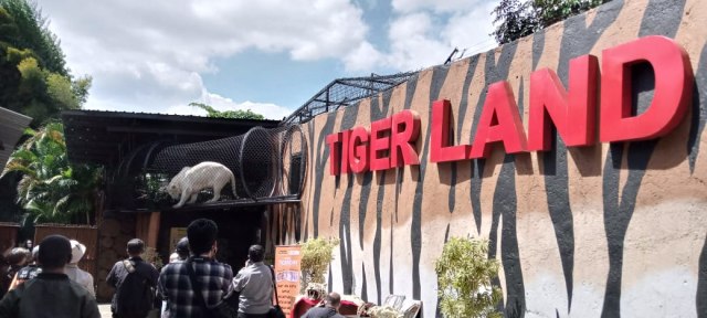 Launching Lorong Harimau di Tiger Land, Batu.