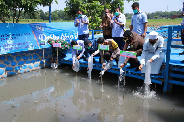 Harga Sandal Luofu Terbaik Flip Flop  Sandals Sepatu Wanita