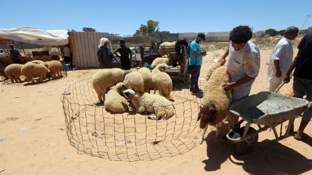 Suasana pasar hewan kurban di Kota Tripoli, Libya, Selasa (28/7). Foto: Mahmud TURKIA / AFP