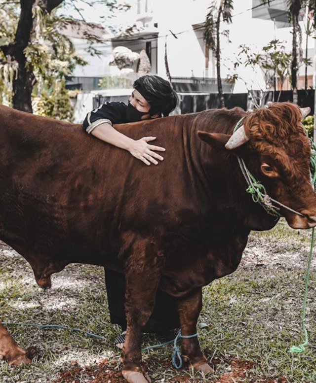 Potret 5 Selebritis dengan Hewan Kurbannya (232600)