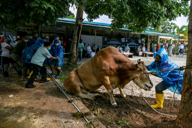 Bolehkah Qurban Untuk Orang Yang Sudah Meninggal Kumparan Com