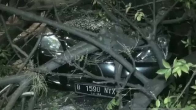 Satu unit mobil ringsek tertimpa batang pohon tumbang di Jalan I Gusti Ngurah Rai, Duren Sawit, Jakarta Timur, Jumat (31/7/2020).  Foto: Andi Firdaus/ANTARAFOTO