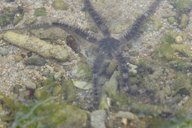 Selok Banyu Meneng, Pantai Ramah Anak di Malang Selatan (1297049)