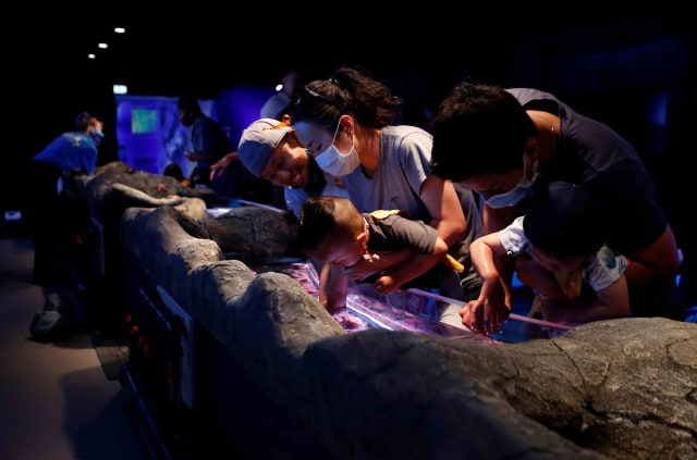 Anak-anak didampingi orang tua mereka bermain di Sea Life Centre London Aquarium yang baru dibuka kembali. Foto: Peter Cziborra/REUTERS