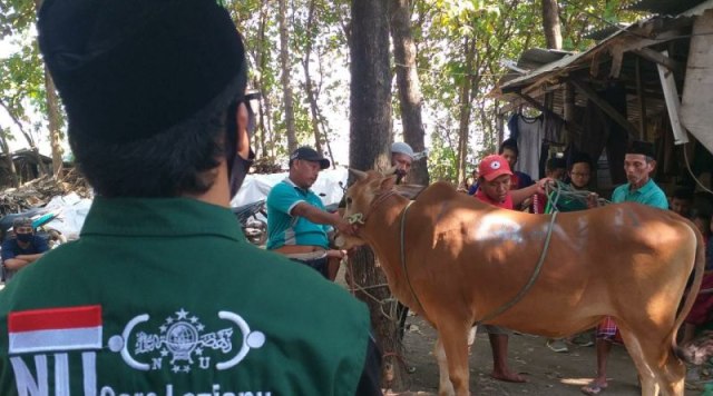 PCNU Kota Pasuruan Sembelih 4 Kambing dan 1 Sapi (151668)