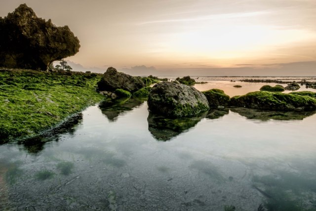 Plengkung, Surga Tersembunyi Banyuwangi yang Jadi Lokasi Liga Surfing Dunia (373286)