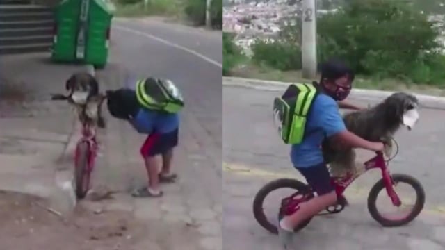 Bikin Gemas, Bocah Ini Pakaikan Masker ke Anjing Peliharaannya (614681)