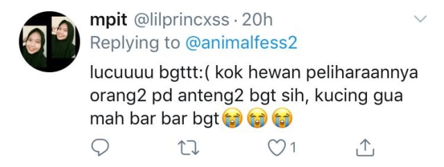 Bikin Gemas, Bocah Ini Pakaikan Masker ke Anjing Peliharaannya (614684)