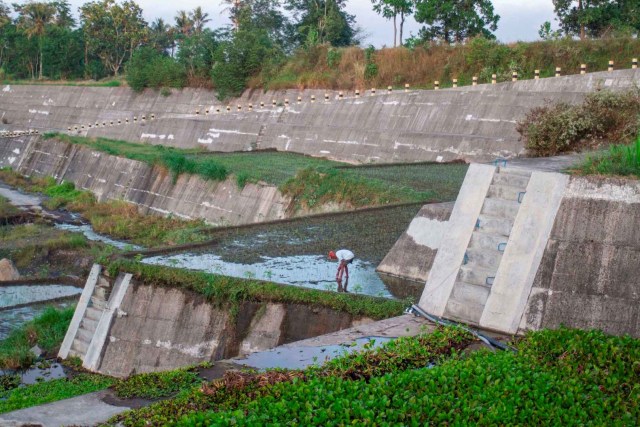 Warga menanam padi di atas tanggul Dam Sabo Bronggang, Cangkringan, Sleman, DI Yogyakarta. Foto: Hendra Nurdiyansyah/Antara Foto