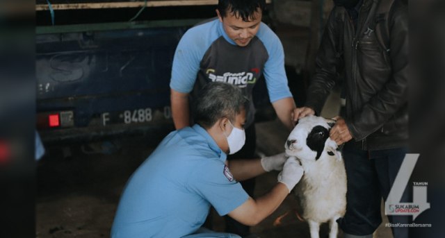 Bidang Kesehatan Hewan, Dinas Peternakan Kabupaten Sukabumi tengah memeriksa hewan yang berada di lapak | Sumber Foto:ISTIMEWA