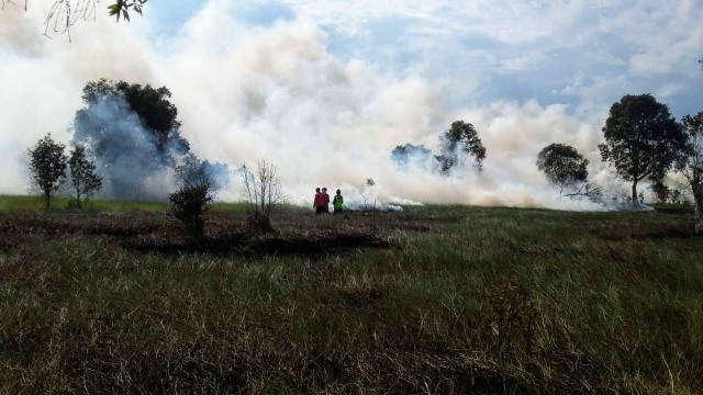 Karhutla yang terjadi di lahan gambut Kecamatan Pemulutan Barat, Ogan Ilir, Sumsel. (foto: istimewa)
