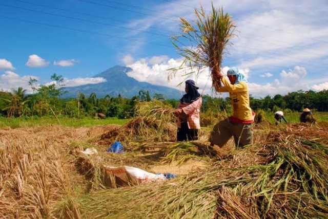 Sumber : Google Image