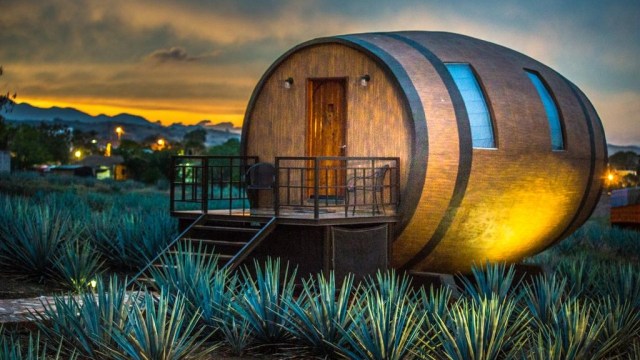 Hotel unik berbentuk tong tequila raksasa di Meksiko. Foto: booking.com