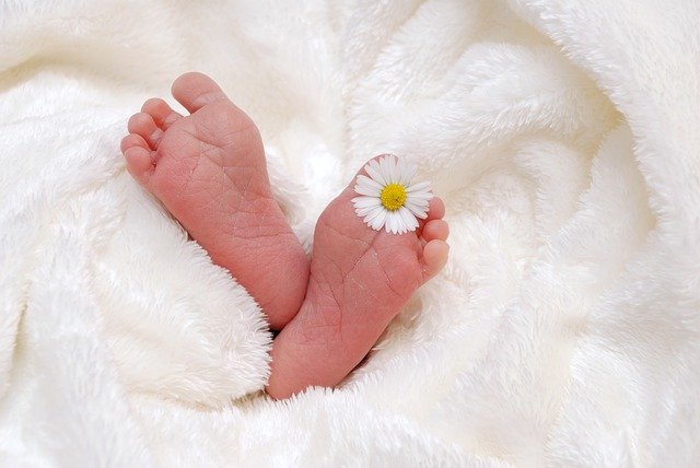 Gummy dan Jo Jung Suk dikaruniai anak pertama. Foto: Pixabay