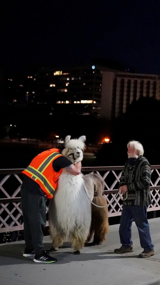Seorang operator jembatan memeluk Caesar McCool, llama terapi yang dijuluki "No Drama Llama" di Portland, Oregon, AS, Kamis (6/8). Foto: Nathan Howard/REUTERS