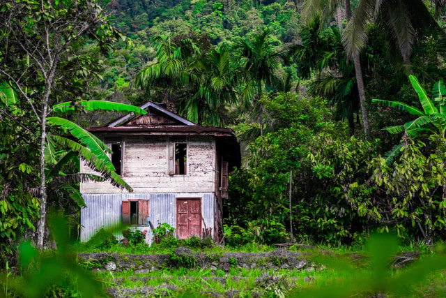 Menjahit Rumah Impian (41420)