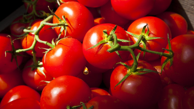 ilustrasi tomat (Foto: Thinkstock)