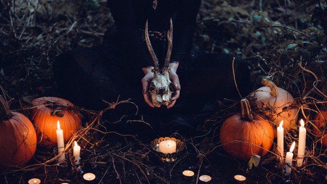 Foto: Unsplash/freestocks