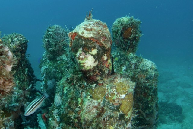 5 Museum Bawah Laut Terunik Dunia, Salah Satunya di Bangkai Kapal Abad ke-5 SM (3)