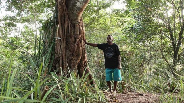 Seorang warga Kampung Sira berdiri di antara pepohonan di dalam Hutan Sira, Sorong Selatan. Foto: EcoNusa Foundation/ Moch. Fikri