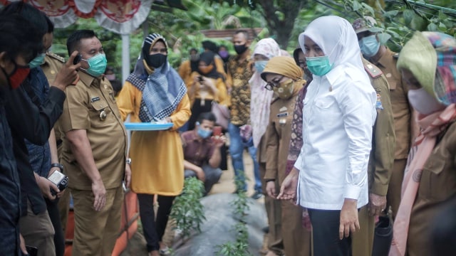 Potret Pekarangan Pangan Lestari, Produktif ala Ibu Rumah Tangga di Palembang (11938)