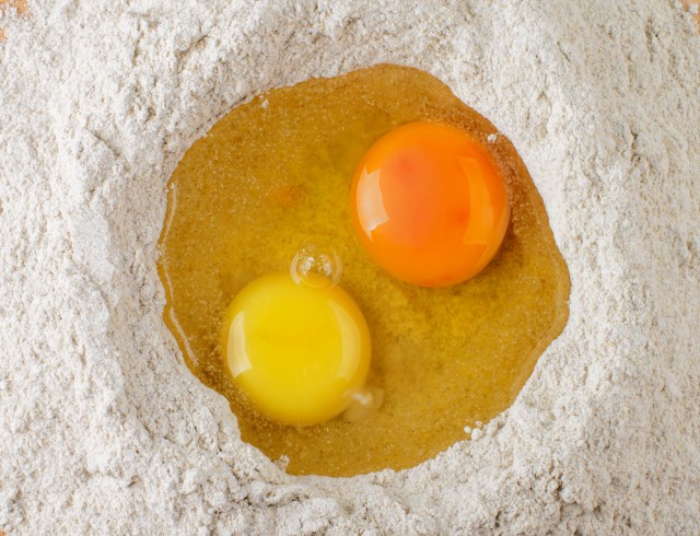 Alasan Warna Kuning Telur Ayam  Berbeda Beda Oranye Gelap 