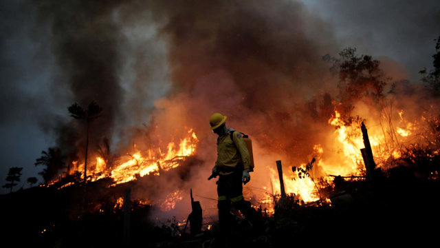 Anggota pemadam kebakaran IBAMA berupaya mengendalikan api di hutan Amazon, dekat kota Apui, Brasil. Foto: UESLEI MARCELINO/REUTERS