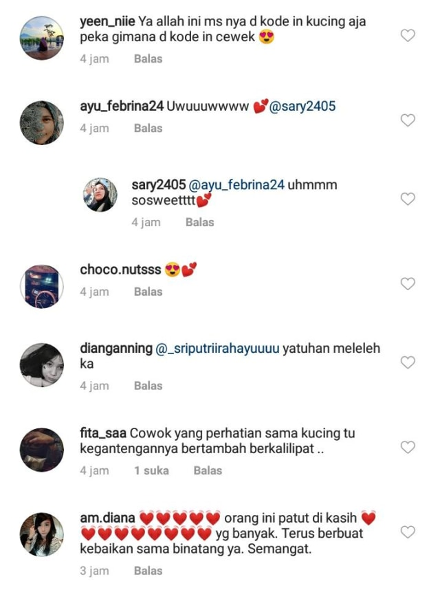 Datang ke Kosan Pria ini Berkali-kali, Kucing Oren Minta Ditemani Melahirkan (18290)