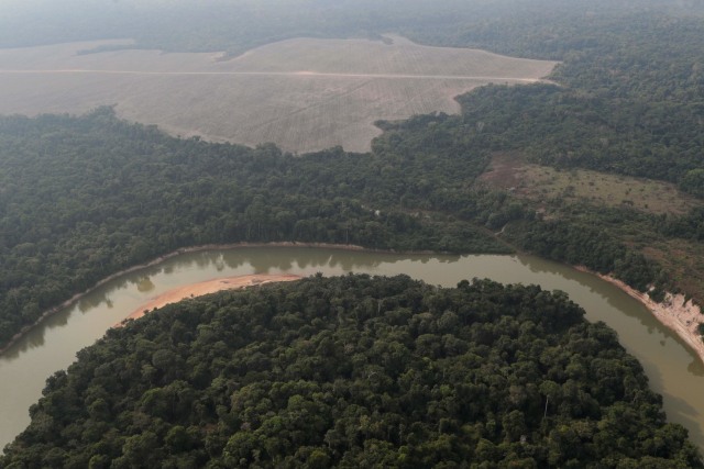 Foto udara menunjukkan sungai dan sebidang hutan gundul di Amazon dekat Porto Velho, Negara Bagian Rondonia, Brasil. Foto: Ueslei Marcelino/Reuters