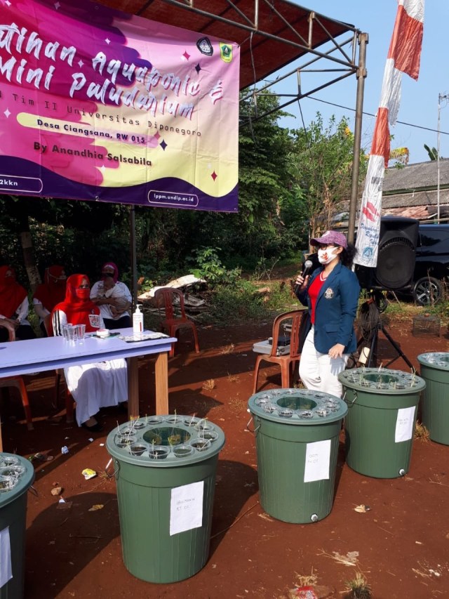 Menggelar Pelatihan Aquaponic &amp; Optimalisasi UMKM bersama ...