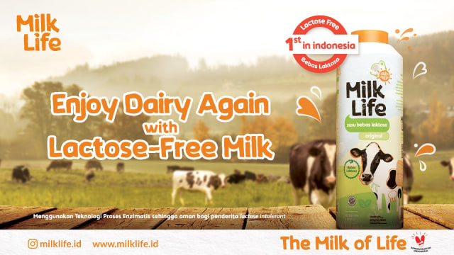 MilkLife Sajikan Susu Segar Bebas Laktosa, Apa Bedanya dengan Susu Sapi Biasa? (147242)