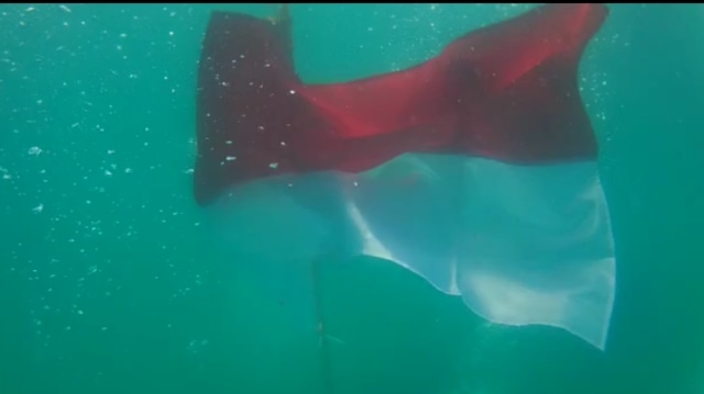 Kibarkan Bendera Merah Putih, 8 Club Diving Ini Kenalkan Wisata Bawah Laut Babel (216218)