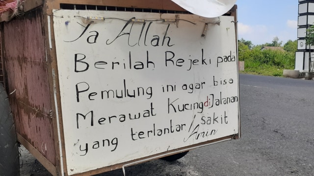 Kisah Pemulung di Yogya Hidup Nomaden, tapi Rela Rawat Kucing Jalanan yang Sakit (207392)