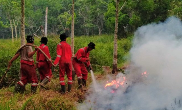 Satgas karhutla memadamkan api yang membakar lahan di Ogan Ilir, Sumsel. (foto: BPBD Sumsel)