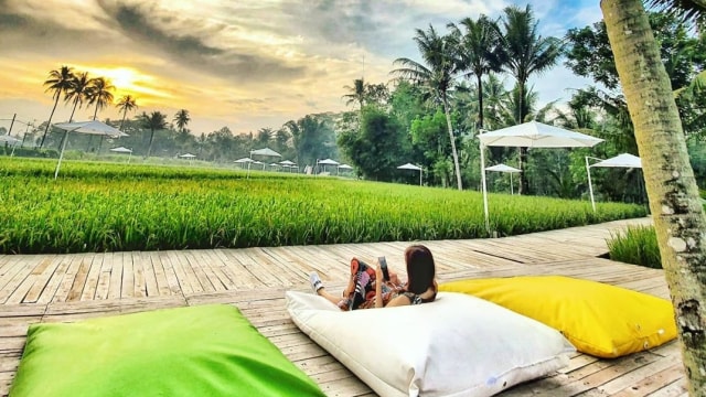Svargabumi, destinasi wisata Instagramable baru di Borobudur Foto: Instagram @svargabumi