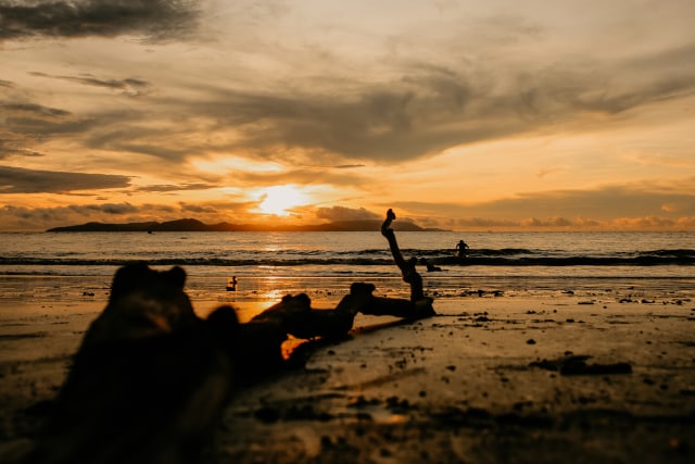 Tradisi Tarek Pukat dalam Pesona Senja Banda Aceh (480287)
