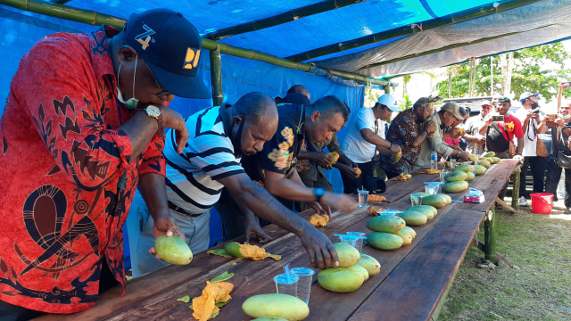 Lomba makan mangga yang diikuti pejabat yang hadir dalam kegiatan tersebut. (BumiPapua.com/Liza Indriyani)