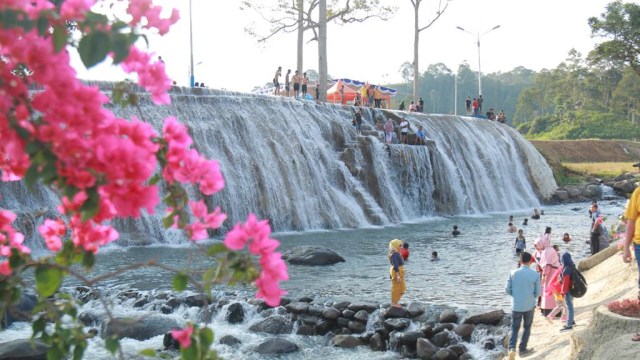 Agrowisata Tanjung Sakti. (foto: Tim Urban Id)