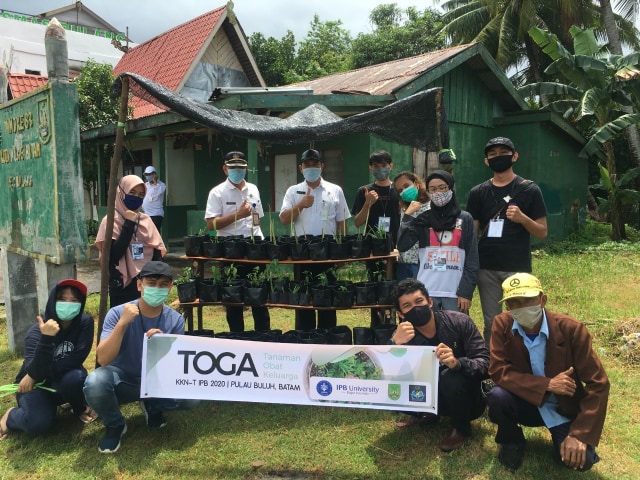 Gerakan Menanam Toga sebagai Pengobatan Herbal  oleh Mahasiswa IPB University