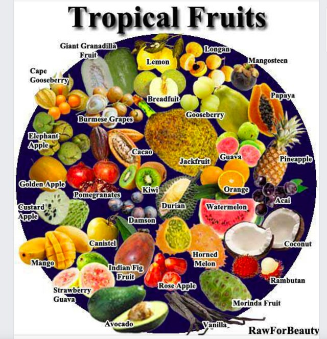 Iustrasi buah tropis. Foto: Tinu Allen