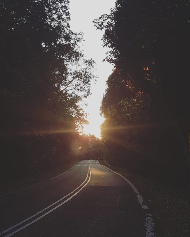 Old Upper Thomson Road, Singapura Foto: Shutter stock