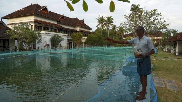 Jual Cokelat Hingga Ternak Ikan, Ini 5 Hotel yang Banting Setir karena COVID-19 (124797)