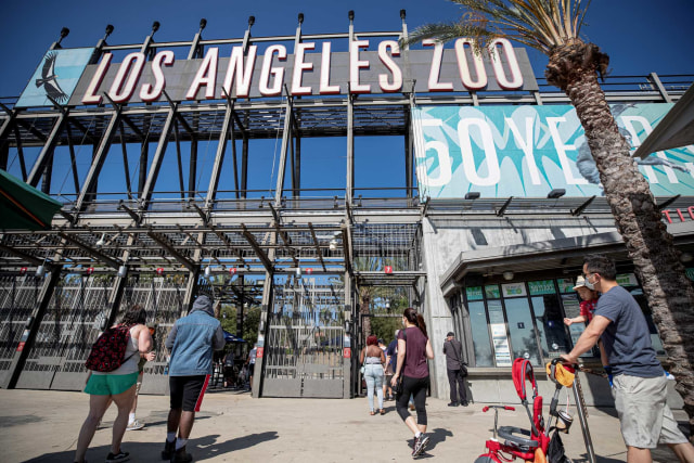 Pengunjung memasuki kebun binatang Los Angeles yang kembali dibuka di Los Angeles, California, AS, Rabu (26/8). Foto: MARIO ANZUONI/REUTERS