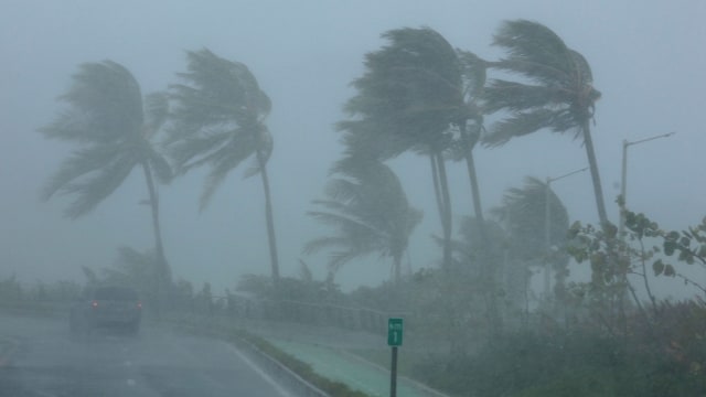 Ilustrasi angin kencang. Foto: REUTERS/Alvin Baez