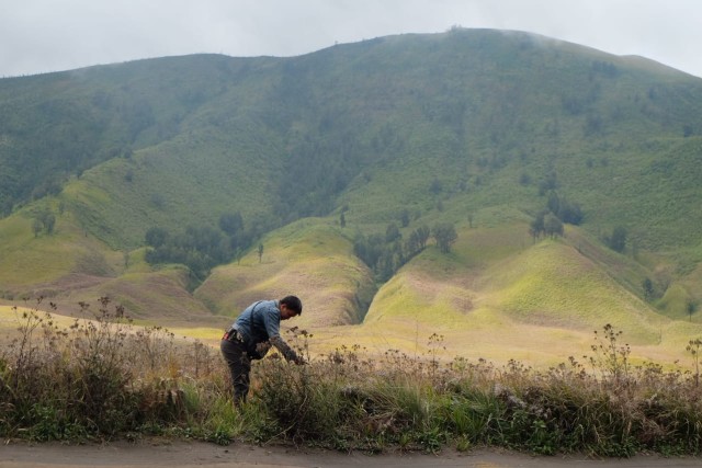 Wisata Gunung Bromo. Foto: Rizal Adhi