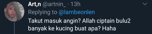 Momen Kocak Driver Taksi Online Dapat Penumpang Kucing (11650)