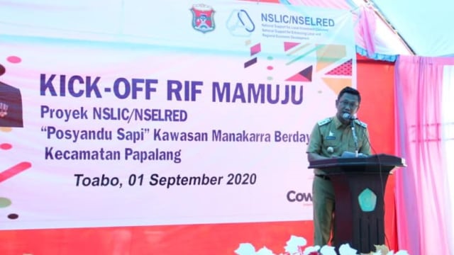 Launching proyek Posyandu Sapi di Mamuju, Sulawesi Barat. Foto: Dok. Humas Pemkab Mamuju